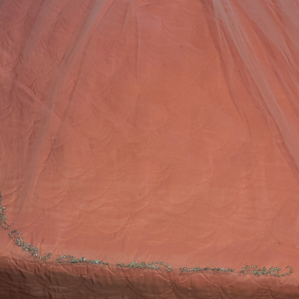 Veil - Picture 2 of 8